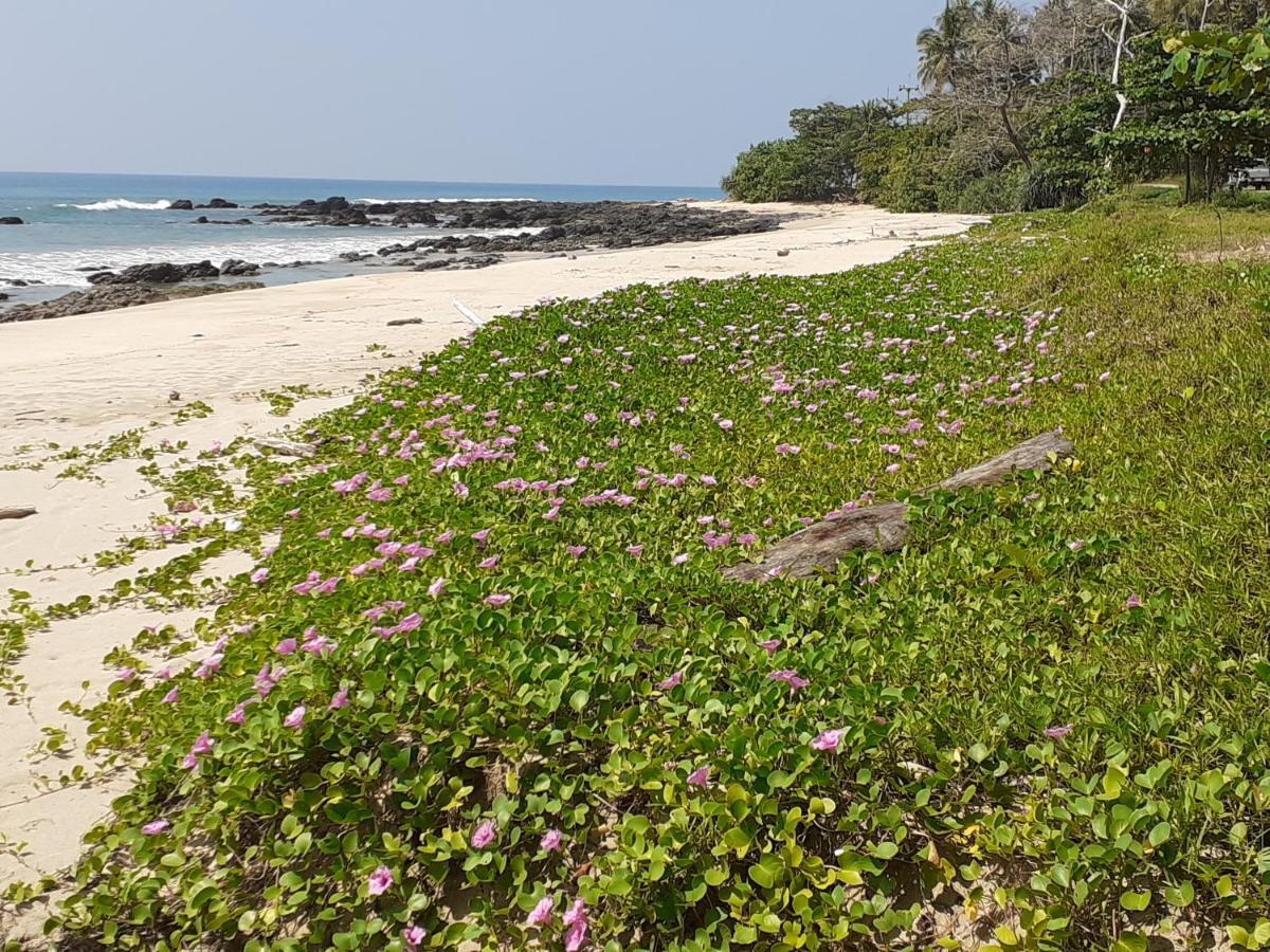 Lanta Daisy Residence Ko Lanta Exterior foto